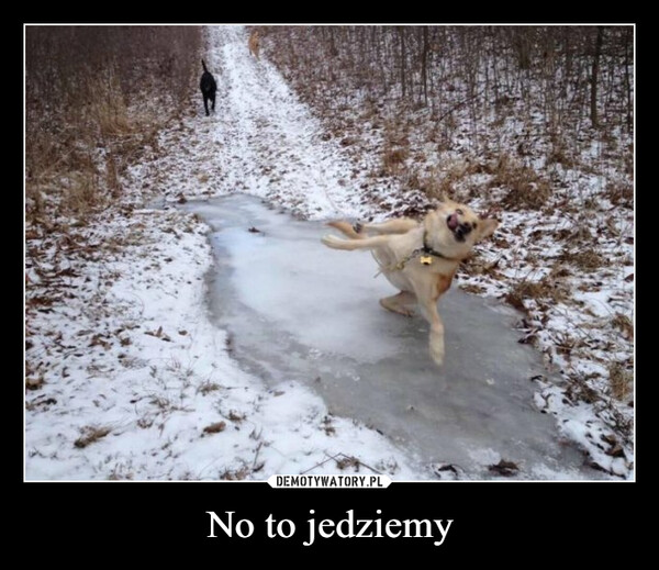 No to jedziemy –  