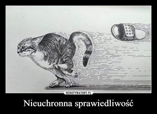 Nieuchronna sprawiedliwość –  0000000100X