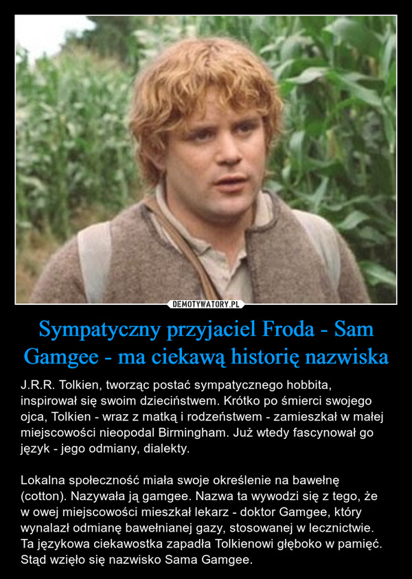 Sympatyczny przyjaciel Froda - Sam Gamgee - ma ciekawą historię nazwiska – J.R.R. Tolkien, tworząc postać sympatycznego hobbita, inspirował się swoim dzieciństwem. Krótko po śmierci swojego ojca, Tolkien - wraz z matką i rodzeństwem - zamieszkał w małej miejscowości nieopodal Birmingham. Już wtedy fascynował go język - jego odmiany, dialekty.Lokalna społeczność miała swoje określenie na bawełnę (cotton). Nazywała ją gamgee. Nazwa ta wywodzi się z tego, że w owej miejscowości mieszkał lekarz - doktor Gamgee, który wynalazł odmianę bawełnianej gazy, stosowanej w lecznictwie. Ta językowa ciekawostka zapadła Tolkienowi głęboko w pamięć. Stąd wzięło się nazwisko Sama Gamgee. 