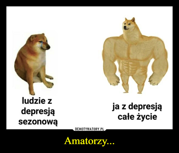 Amatorzy... –  ludzie zdepresjąsezonowąja z depresjącałe życie