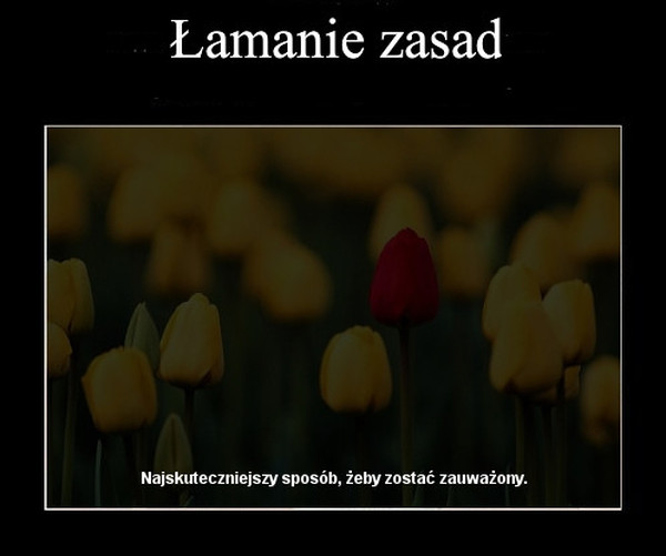 Łamanie zasad –  