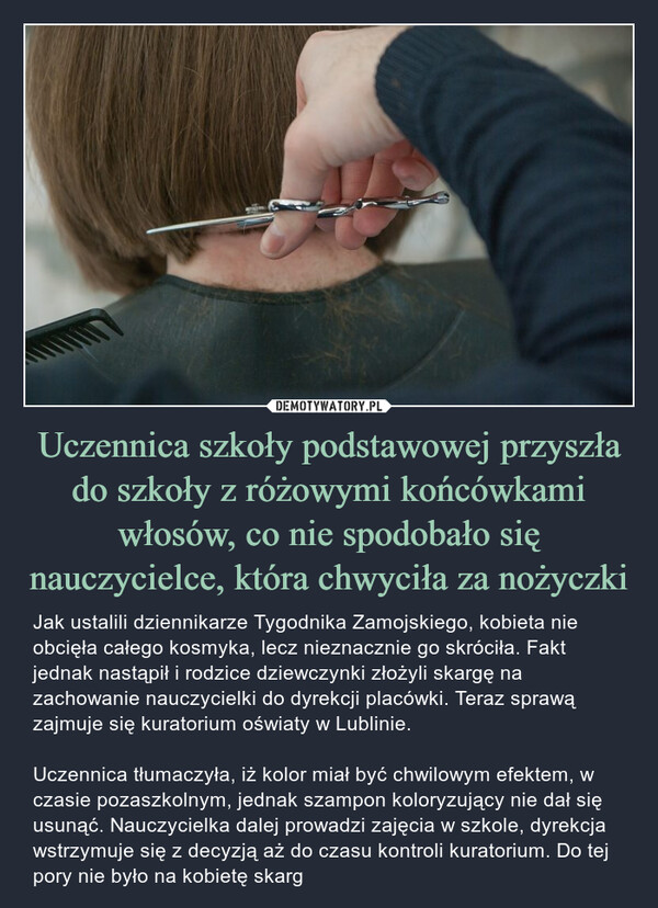 Uczennica szkoły podstawowej przyszła do szkoły z różowymi końcówkami włosów, co nie spodobało się nauczycielce, która chwyciła za nożyczki – Jak ustalili dziennikarze Tygodnika Zamojskiego, kobieta nie obcięła całego kosmyka, lecz nieznacznie go skróciła. Fakt jednak nastąpił i rodzice dziewczynki złożyli skargę na zachowanie nauczycielki do dyrekcji placówki. Teraz sprawą zajmuje się kuratorium oświaty w Lublinie. Uczennica tłumaczyła, iż kolor miał być chwilowym efektem, w czasie pozaszkolnym, jednak szampon koloryzujący nie dał się usunąć. Nauczycielka dalej prowadzi zajęcia w szkole, dyrekcja wstrzymuje się z decyzją aż do czasu kontroli kuratorium. Do tej pory nie było na kobietę skarg 