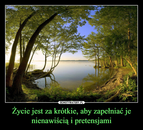 Życie jest za krótkie, aby zapełniać je nienawiścią i pretensjami –  