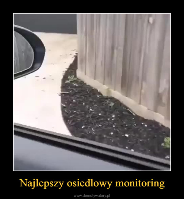 Najlepszy osiedlowy monitoring –  