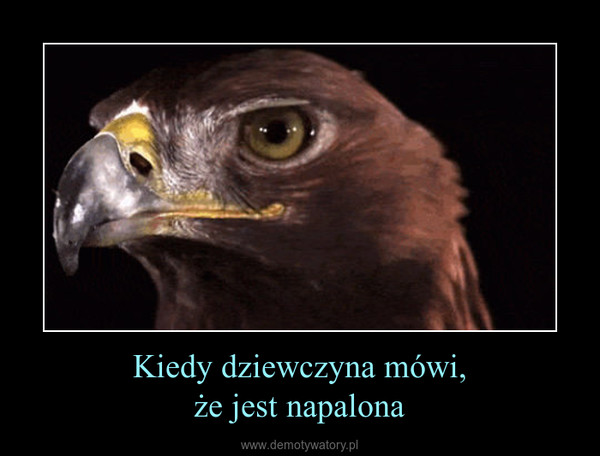 Kiedy dziewczyna mówi,że jest napalona –  