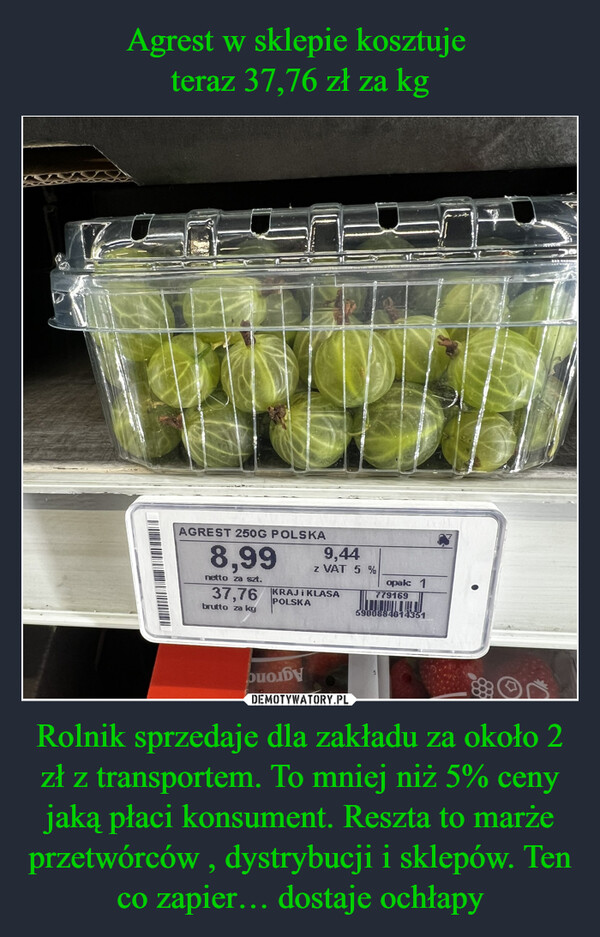 Rolnik sprzedaje dla zakładu za około 2 zł z transportem. To mniej niż 5% ceny jaką płaci konsument. Reszta to marże przetwórców , dystrybucji i sklepów. Ten co zapier… dostaje ochłapy –  AGREST 250G POLSKA8,99netto za szt.37,76brutto za kg9,44Z VAT 5 %KRAJI KLASAPOLSKAopak: 17791695900884014351buoyTODTRUSKAWKAMasa notte KOAgronom BerriePRODUKT