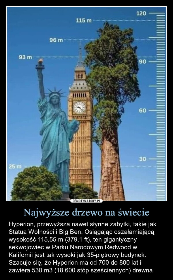 Najwyższe drzewo na świecie – Hyperion, przewyższa nawet słynne zabytki, takie jak Statua Wolności i Big Ben. Osiągając oszałamiającą wysokość 115,55 m (379,1 ft), ten gigantyczny sekwojowiec w Parku Narodowym Redwood w Kalifornii jest tak wysoki jak 35-piętrowy budynek. Szacuje się, że Hyperion ma od 700 do 800 lat i zawiera 530 m3 (18 600 stóp sześciennych) drewna Parku Narodowym Redwood w Kaliforni93 m96 m115 m1203025 m606090