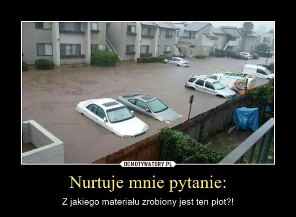 Nurtuje mnie pytanie: – Z jakiego materiału zrobiony jest ten płot?! 