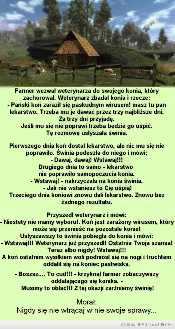 Na farmie... –  Farmer wezwał weterynarza do swojego konia, któryzachorował. Weterynarz zbadał konia i rzecze:- Pański koń zaraził się paskudnym wirusem! masz tu panlekarstwo. Trzeba mu je dawać przez trzy najbliższe dni.Za trzy dni przyjadę.Jeśli mu się nie poprawi trzeba będzie go uśpić.Tę rozmowę usłyszała Świnia.Pierwszego dnia koń dostał lekarstwo, ale nic mu się niepoprawiło. Świnia podeszła do niego i mówi;-Dawaj, dawaj! Wstawaj!!!Drugiego dnia to samo - lekarstwonie poprawiło samopoczucia konia.- Wstawaj! - nakrzyczała na konia Świnia.- Jak nie wstaniesz to Cię uśpią!Trzeciego dnia koniowi znowu dali lekarstwo. Znowu bezżadnego rezultatu.Przyszedł weterynarz i mówi:- Niestety nie mamy wyboru!. Koń jest zarażony wirusem, którymoże się przenieść na pozostałe konie!Usłyszawszy to Świnia pobiegła do konia i mówi:- Wstawaj!!! Weterynarz już przyszedł! Ostatnia Twoja szansa!Teraz albo nigdy! Wstawaj!!!A koń ostatnim wysiłkiem woli podniósł się na nogi i truchtemoddalił się na koniec pastwiska.- Boszsz.... To cud!!! - krzyknął farmer zobaczywszyoddalającego się konika. -Musimy to oblać!!! Z tej okazji zarżniemy świnię!Morał:Nigdy się nie wtrącaj w nie swoje sprawy...