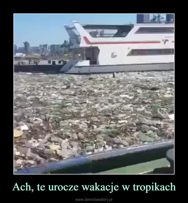 Ach, te urocze wakacje w tropikach –  