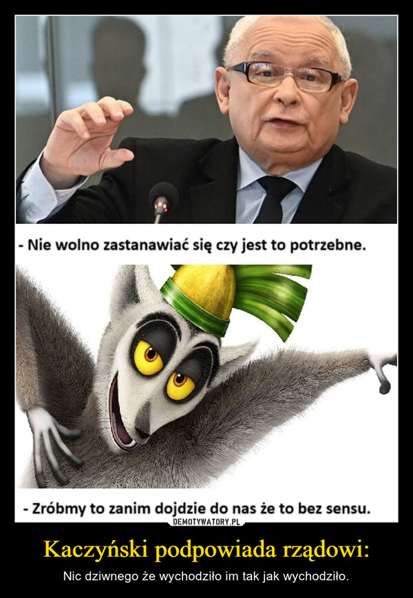 Kaczyński podpowiada rządowi: – Nic dziwnego że wychodziło im tak jak wychodziło. - Nie wolno zastanawiać się czy jest to potrzebne.- Zróbmy to zanim dojdzie do nas że to bez sensu.