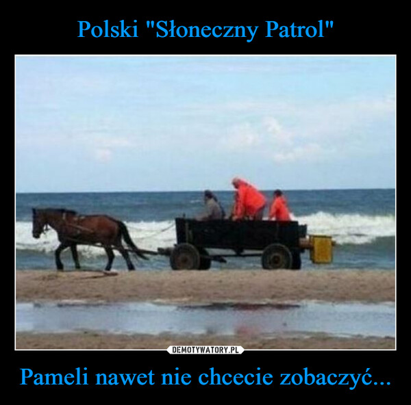 Pameli nawet nie chcecie zobaczyć... –  