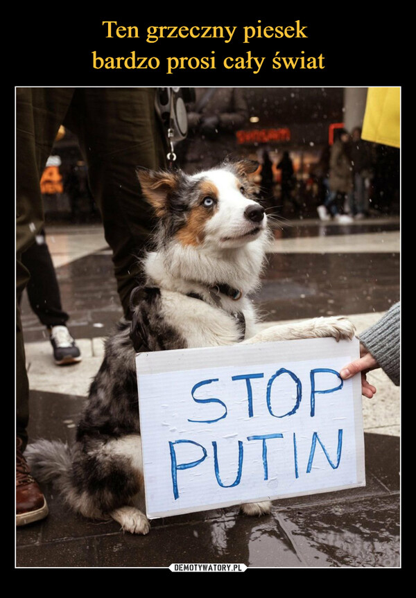  –  STOP PUTIN