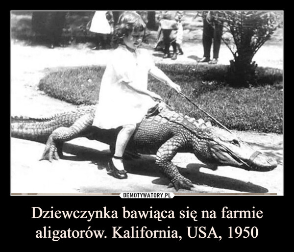 Dziewczynka bawiąca się na farmie aligatorów. Kalifornia, USA, 1950 –  