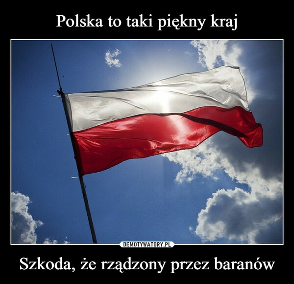 Szkoda, że rządzony przez baranów –  