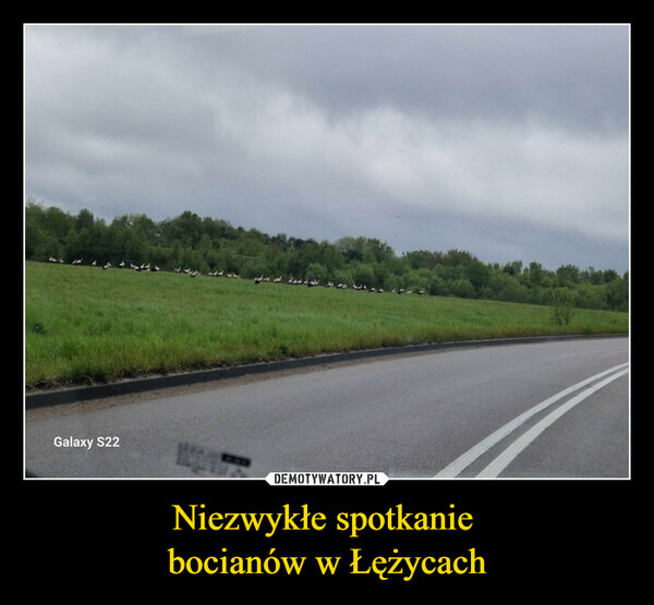 Niezwykłe spotkanie bocianów w Łężycach –  امداد امام امه ای برایGalaxy S22