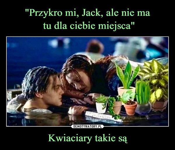 Kwiaciary takie są –  