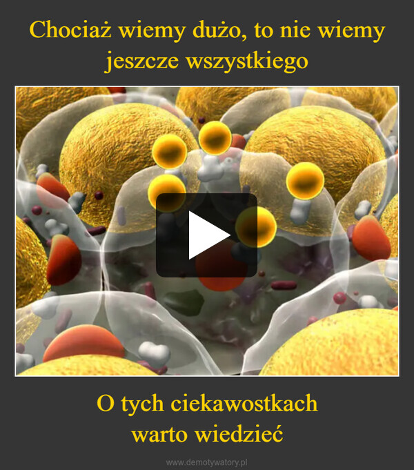 O tych ciekawostkachwarto wiedzieć –  CP