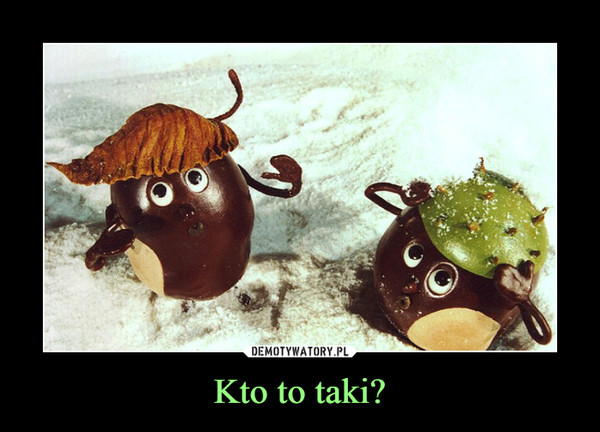 Kto to taki? –  