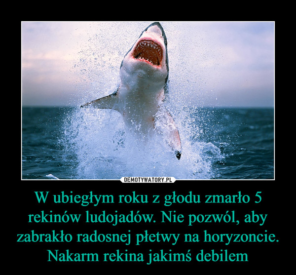 W ubiegłym roku z głodu zmarło 5 rekinów ludojadów. Nie pozwól, aby zabrakło radosnej płetwy na horyzoncie. Nakarm rekina jakimś debilem –  