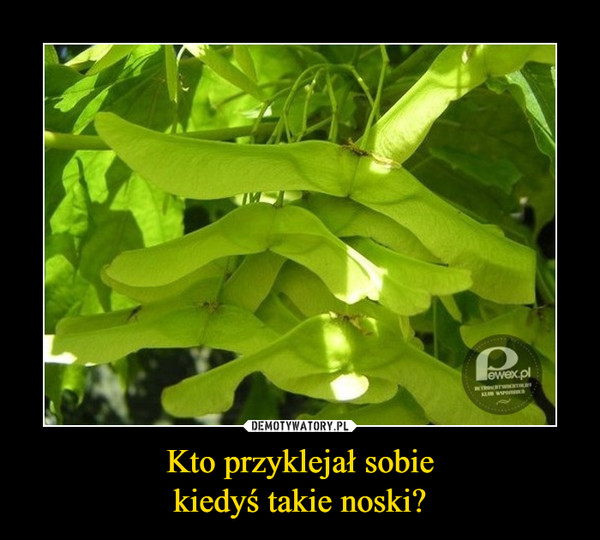 Kto przyklejał sobiekiedyś takie noski? –  