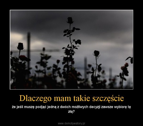 Dlaczego mam takie szczęście – że jeśli muszę podjąć jedną z dwóch możliwych decyzji zawsze wybiorę tę złą? 