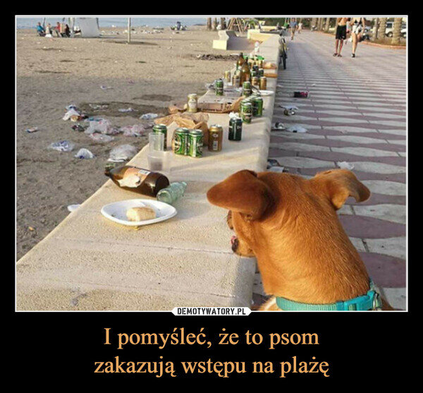 I pomyśleć, że to psomzakazują wstępu na plażę –  