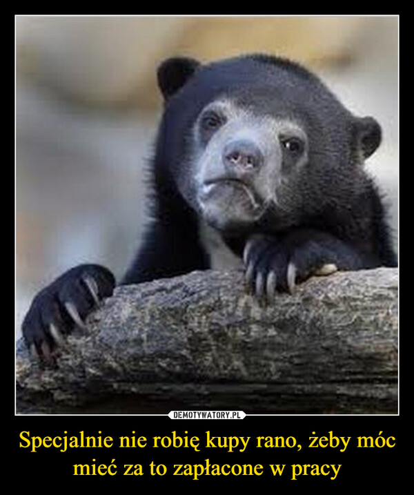 Specjalnie nie robię kupy rano, żeby móc mieć za to zapłacone w pracy –  