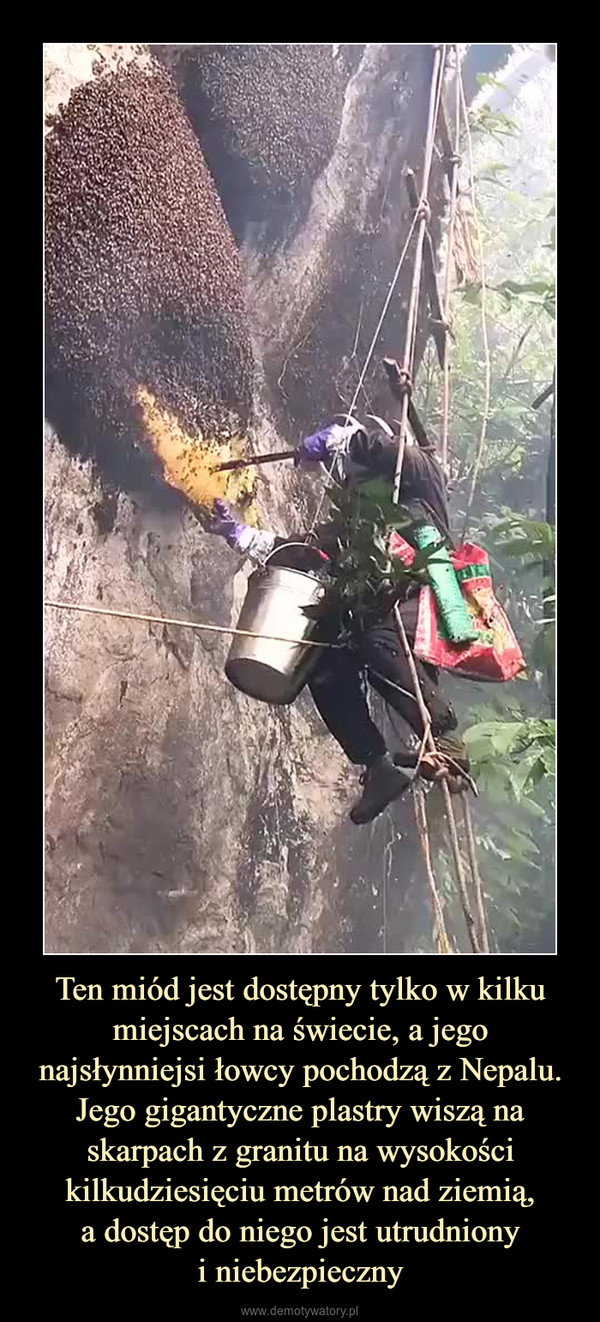 Ten miód jest dostępny tylko w kilku miejscach na świecie, a jego najsłynniejsi łowcy pochodzą z Nepalu. Jego gigantyczne plastry wiszą na skarpach z granitu na wysokości kilkudziesięciu metrów nad ziemią,a dostęp do niego jest utrudnionyi niebezpieczny –  