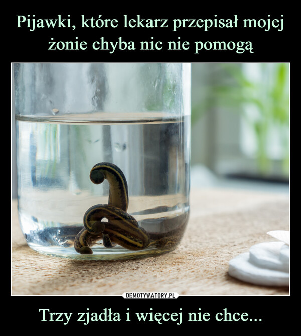 Trzy zjadła i więcej nie chce... –  