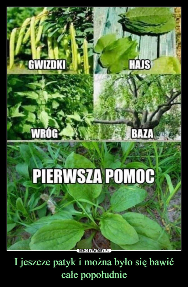 I jeszcze patyk i można było się bawić całe popołudnie –  GWIZDKIWROGHAJSBAZAPIERWSZA POMOC