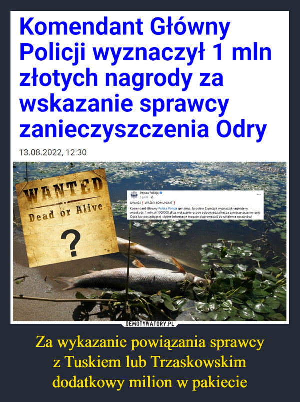 Za wykazanie powiązania sprawcyz Tuskiem lub Trzaskowskimdodatkowy milion w pakiecie –  Komendant Główny Policji wyznaczył 1 mln złotych nagrody za wskazanie sprawcy zanieczyszczenia Odry