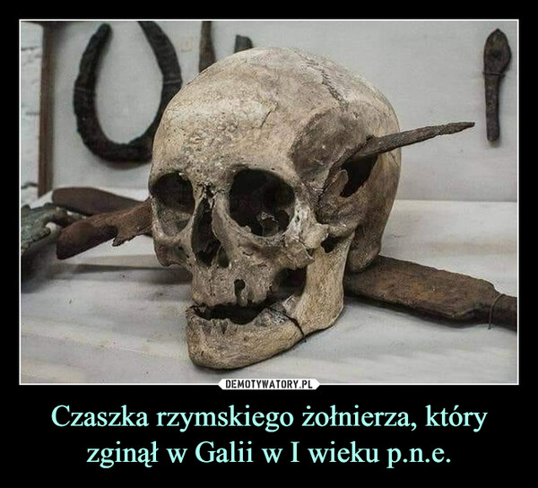 Czaszka rzymskiego żołnierza, który zginął w Galii w I wieku p.n.e. –  