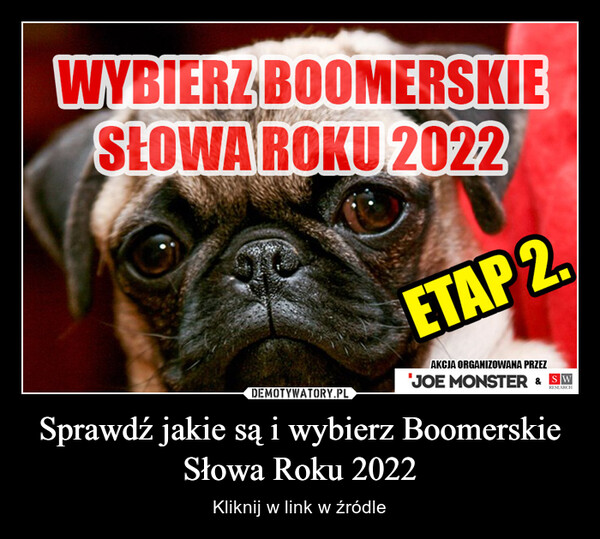 Sprawdź jakie są i wybierz Boomerskie Słowa Roku 2022 – Kliknij w link w źródle 