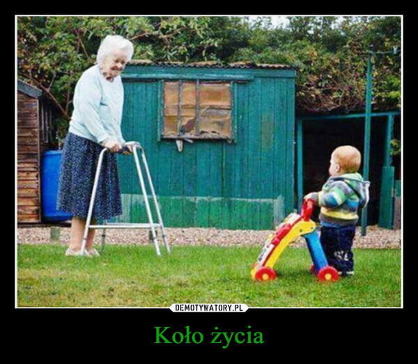 Koło życia –  