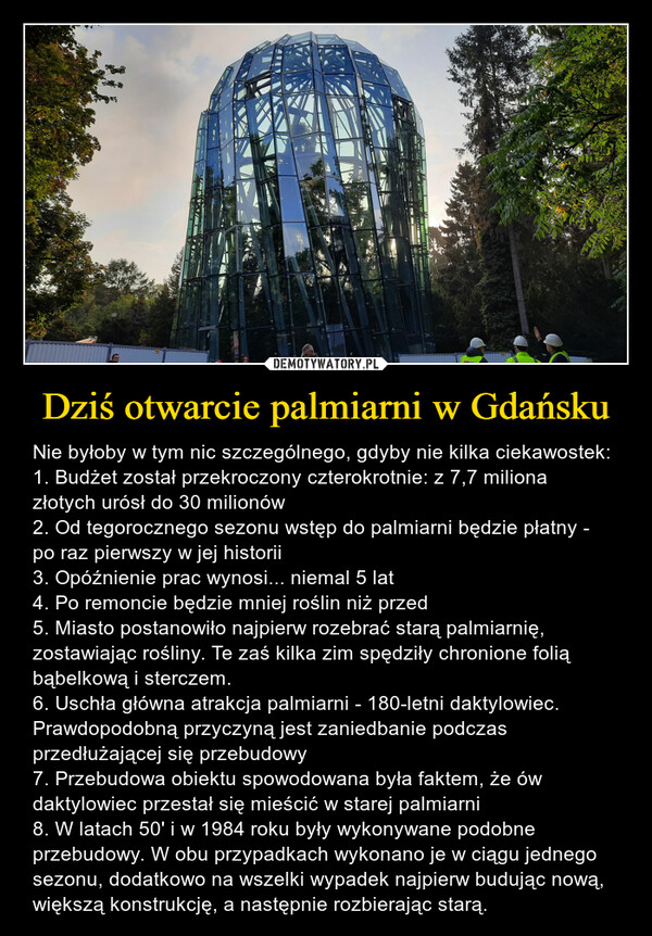 Dziś otwarcie palmiarni w Gdańsku – Nie byłoby w tym nic szczególnego, gdyby nie kilka ciekawostek:1. Budżet został przekroczony czterokrotnie: z 7,7 miliona złotych urósł do 30 milionów2. Od tegorocznego sezonu wstęp do palmiarni będzie płatny - po raz pierwszy w jej historii3. Opóźnienie prac wynosi... niemal 5 lat4. Po remoncie będzie mniej roślin niż przed5. Miasto postanowiło najpierw rozebrać starą palmiarnię, zostawiając rośliny. Te zaś kilka zim spędziły chronione folią bąbelkową i sterczem.6. Uschła główna atrakcja palmiarni - 180-letni daktylowiec. Prawdopodobną przyczyną jest zaniedbanie podczas przedłużającej się przebudowy7. Przebudowa obiektu spowodowana była faktem, że ów daktylowiec przestał się mieścić w starej palmiarni8. W latach 50' i w 1984 roku były wykonywane podobne przebudowy. W obu przypadkach wykonano je w ciągu jednego sezonu, dodatkowo na wszelki wypadek najpierw budując nową, większą konstrukcję, a następnie rozbierając starą. 