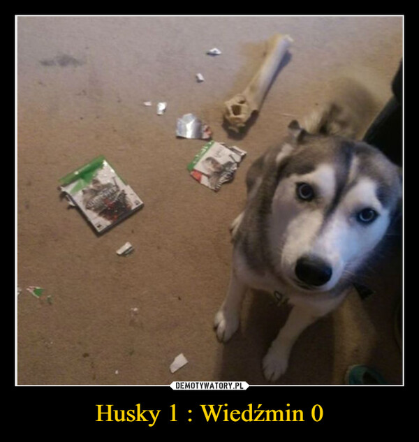 Husky 1 : Wiedźmin 0 –  دارس