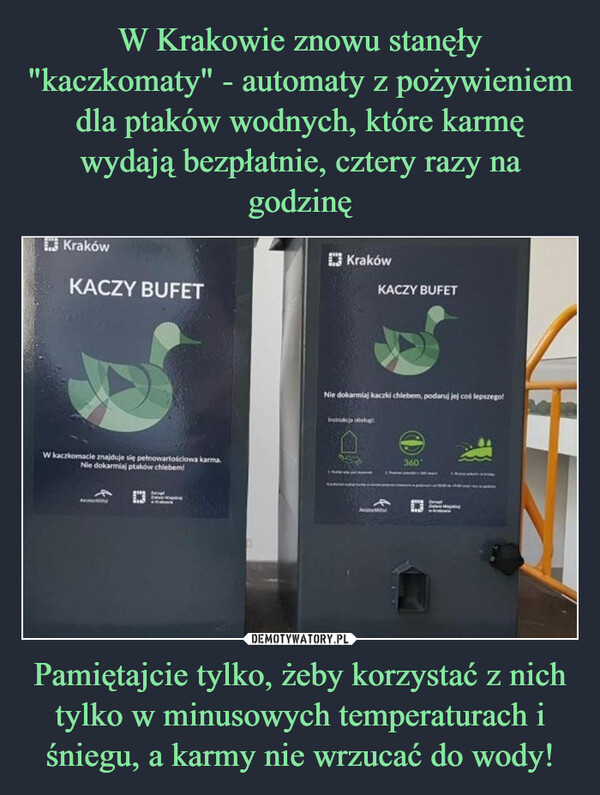 Pamiętajcie tylko, żeby korzystać z nich tylko w minusowych temperaturach i śniegu, a karmy nie wrzucać do wody! –  KrakówKACZY BUFETW kaczkomacie znajduje się pełnowartościowa karma.Nie dokarmilaj ptaków chlebem!AMWEEN CwriedMINKrakówNie dokarmlaj kaczki chlebem, podaruj jej coś lepszego!Instrukcja obshugSNE POAT MODERKACZY BUFETA360°& Takve pdZaregMi-3down