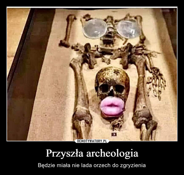 Przyszła archeologia – Będzie miała nie lada orzech do zgryzienia 