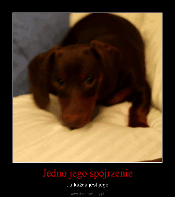 Jedno jego spojrzenie – ...i każda jest jego 