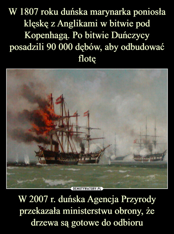 W 2007 r. duńska Agencja Przyrody przekazała ministerstwu obrony, że drzewa są gotowe do odbioru –  