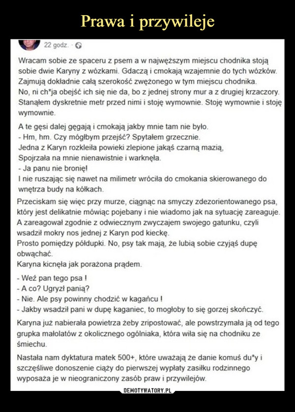  –  22 godz.Wracam sobie ze spaceru z psem a w najwęższym miejscu chodnika stojąsobie dwie Karyny z wózkami. Gdaczą i cmokają wzajemnie do tych wózków.Zajmują dokładnie całą szerokość zwężonego w tym miejscu chodnika.No, ni ch*ja obejść ich się nie da, bo z jednej strony mur a z drugiej krzaczory.Stanąłem dyskretnie metr przed nimi i stoję wymownie. Stoję wymownie i stojęwymownie.A te gęsi dalej gęgają i cmokają jakby mnie tam nie było.- Hm, hm. Czy mógłbym przejść? Spytałem grzecznie.Jedna z Karyn rozkleiła powieki zlepione jakąś czarną mazią,Spojrzała na mnie nienawistnie i warknęła.- Ja panu nie bronię!I nie ruszając się nawet na milimetr wróciła do cmokania skierowanego downętrza budy na kółkach.Przeciskam się więc przy murze, ciągnąc na smyczy zdezorientowanego psa,który jest delikatnie mówiąc pojebany i nie wiadomo jak na sytuację zareaguje.A zareagował zgodnie z odwiecznym zwyczajem swojego gatunku, czyliwsadził mokry nos jednej z Karyn pod kieckę.Prosto pomiędzy półdupki. No, psy tak mają, że lubią sobie czyjąś dupęobwąchać.Karyna kicnęła jak porażona prądem.- Weź pan tego psa!- A co? Ugryzł panią?- Nie. Ale psy powinny chodzić w kagańcu!- Jakby wsadził pani w dupę kaganiec, to mogłoby to się gorzej skończyć.Karyna już nabierała powietrza żeby zripostować, ale powstrzymała ją od tegogrupka małolatów z okolicznego ogólniaka, która wiła się na chodniku ześmiechu.Nastała nam dyktatura matek 500+, które uważają że danie komuś du*y iszczęśliwe donoszenie ciąży do pierwszej wypłaty zasiłku rodzinnegowyposaża je w nieograniczony zasób praw i przywilejów.