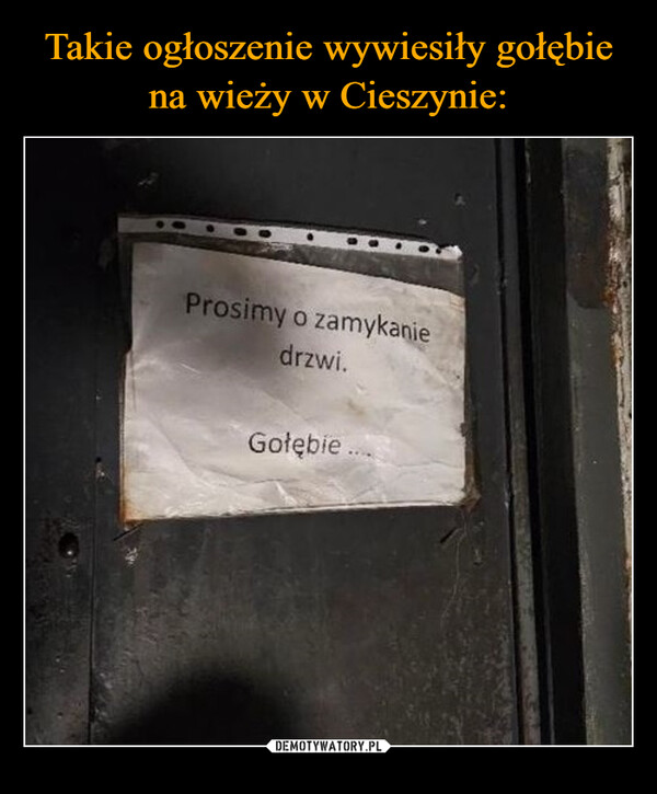  –  Prosimy o zamykaniedrzwi.Gołębie....