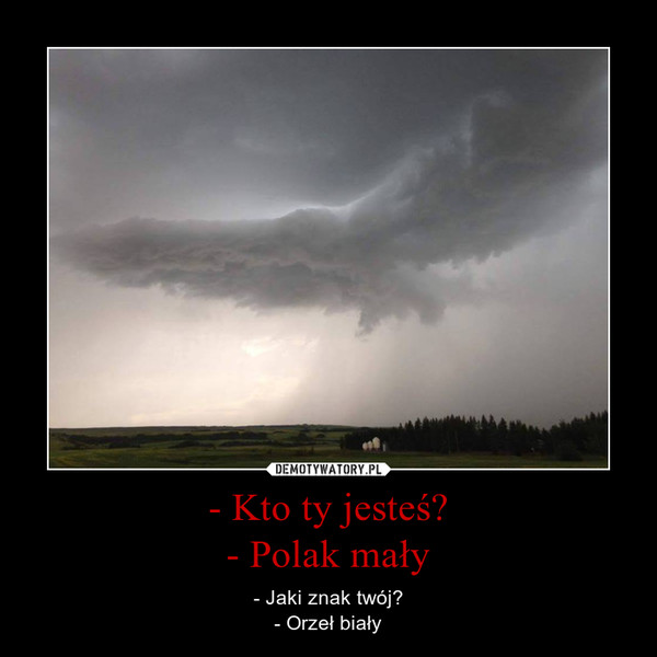 - Kto ty jesteś?- Polak mały – - Jaki znak twój?- Orzeł biały 