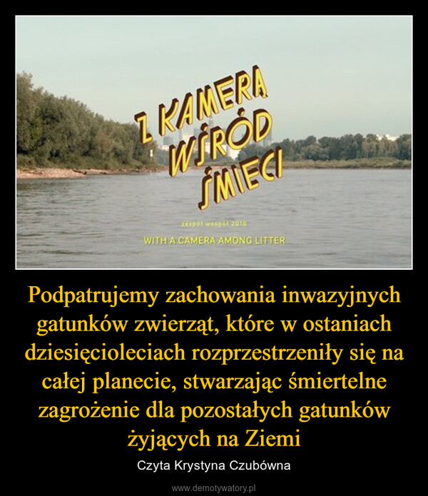 Podpatrujemy zachowania inwazyjnych gatunków zwierząt, które w ostaniach dziesięcioleciach rozprzestrzeniły się na całej planecie, stwarzając śmiertelne zagrożenie dla pozostałych gatunków żyjących na Ziemi – Czyta Krystyna Czubówna KAMERAWIRODMIECIzespół wespół 2015WITH A CAMERA AMONG LITTER