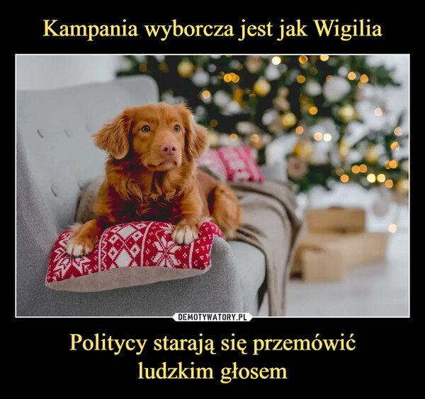 Politycy starają się przemówićludzkim głosem –  