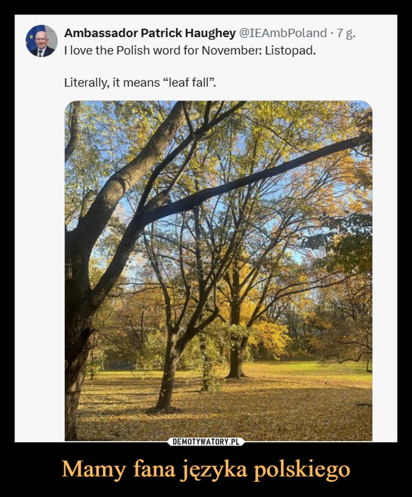 Mamy fana języka polskiego –  Ambassador Patrick Haughey @IEAmbPoland · 7 g.I love the Polish word for November: Listopad.Literally, it means “leaf fall”.