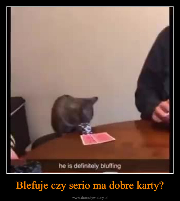 Blefuje czy serio ma dobre karty? –  