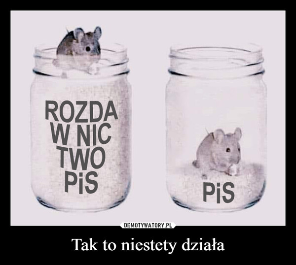 Tak to niestety działa –  ROZDAW NICTWOPISPis