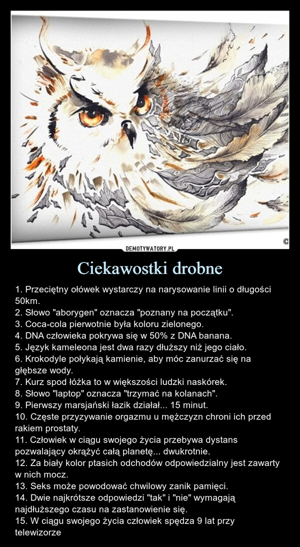 Ciekawostki drobne – 1. Przeciętny ołówek wystarczy na narysowanie linii o długości 50km.2. Słowo "aborygen" oznacza "poznany na początku".3. Coca-cola pierwotnie była koloru zielonego.4. DNA człowieka pokrywa się w 50% z DNA banana.5. Język kameleona jest dwa razy dłuższy niż jego ciało.6. Krokodyle połykają kamienie, aby móc zanurzać się na głębsze wody.7. Kurz spod łóżka to w większości ludzki naskórek.8. Słowo "laptop" oznacza "trzymać na kolanach".9. Pierwszy marsjański łazik działał... 15 minut.10. Częste przyzywanie orgazmu u mężczyzn chroni ich przed rakiem prostaty.11. Człowiek w ciągu swojego życia przebywa dystans pozwalający okrążyć całą planetę... dwukrotnie.12. Za biały kolor ptasich odchodów odpowiedzialny jest zawarty w nich mocz.13. Seks może powodować chwilowy zanik pamięci.14. Dwie najkrótsze odpowiedzi "tak" i "nie" wymagają najdłuższego czasu na zastanowienie się.15. W ciągu swojego życia człowiek spędza 9 lat przy telewizorze 1. Przeciętny ołówek wystarczy na narysowanie linii o długości 50km.2. Słowo "aborygen" oznacza "poznany na początku".3. Coca-cola pierwotnie była koloru zielonego.4. DNA człowieka pokrywa się w 50% z DNA banana.5. Język kameleona jest dwa razy dłuższy niż jego ciało.6. Krokodyle połykają kamienie, aby móc zanurzać się na głębsze wody.7. Kurz spod łóżka to w większości ludzki naskórek.8. Słowo "laptop" oznacza "trzymać na kolanach".9. Pierwszy marsjański łazik działał... 15 minut.10. Częste przyzywanie orgazmu u mężczyzn chroni ich przed rakiem prostaty.11. Człowiek w ciągu swojego życia przebywa dystans pozwalający okrążyć całą planetę... dwukrotnie.12. Za biały kolor ptasich odchodów odpowiedzialny jest zawarty w nich mocz.13. Seks może powodować chwilowy zanik pamięci.14. Dwie najkrótsze odpowiedzi "tak" i "nie" wymagają najdłuższego czasu na zastanowienie się.15. W ciągu swojego życia człowiek spędza 9 lat przy telewizorze